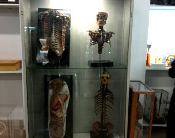 Visita al Museo de Anatomía