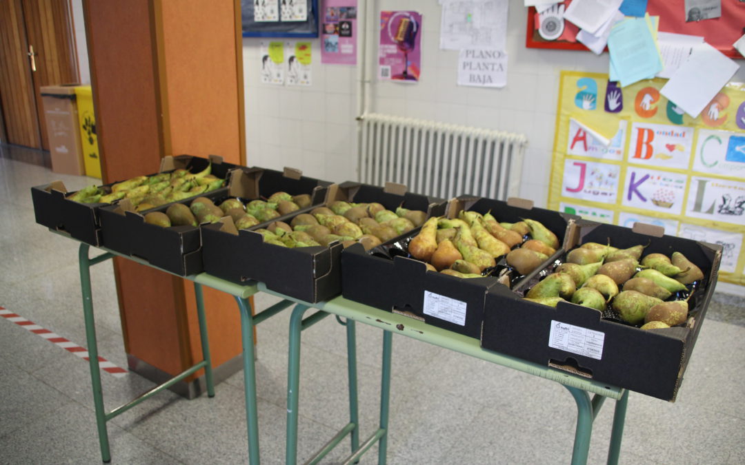Programa escolar de consumo de frutas, hortalizas y leche