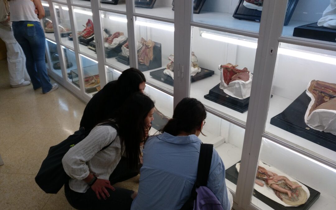 Visita al Museo de Anatomía de la UVA